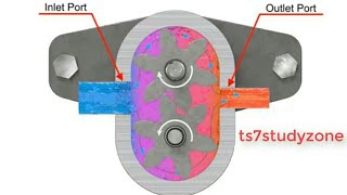 External Gear Pump Working Animation With Detail Explanation  TS7STUDYZONE [upl. by Enilrac729]