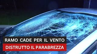 Gorla Varese grosso ramo cade per il vento e infrange il parabrezza di unauto di passaggio [upl. by Nauh]