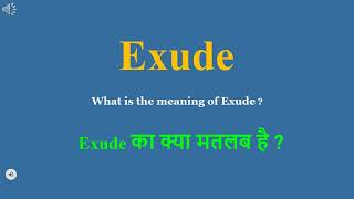 Exude meaning in Hindi  Exude ka kya matlab hota hai  daily use English words [upl. by Nylorak]