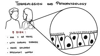 Understanding Influenza  The Flu [upl. by Sanoy]