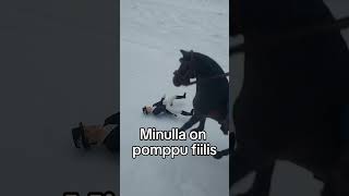 Myrskyllä on pomppu fiilis😂 horse schleich [upl. by Aviva]