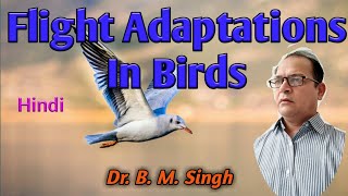 Flight Adaptation in Birds Hindi [upl. by Irrac79]