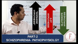 Part2 Schizophrenia Pathophysiology  Dopamine hypothesis [upl. by Isa949]