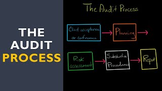 The Audit Process [upl. by Rori]