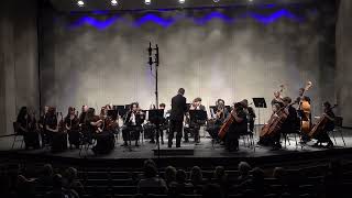 Camerata Orchestra Performs Symphony No2 in A Major Allegro Assai William Boyce arr McCashin [upl. by Refinnej]