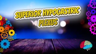 Superior hypogastric plexus  Know It ALL 🔊✅ [upl. by Coster762]