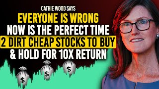 Cathie Woods DipBuying Mystery 2 Stocks On Sale Now Buy Them Before They Surge In 2024 [upl. by Nacim977]