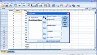 Two Way ANOVA  SPSS part 1 [upl. by Llenoil443]