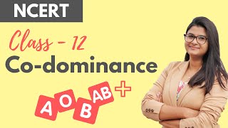 Codominance in 5 Minutes [upl. by Aitret]