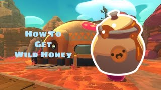 How To Get Wild Honey Slime Rancher [upl. by Atyekram641]