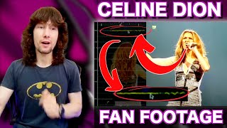 Crowd shot footage reveals Celine Dions natural ACTUAL pitch accuracy [upl. by Ahsea]