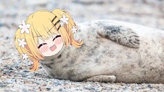 Just Seal nene clapping belly  Animal hololive [upl. by Zeta]