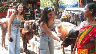 Helly Shah Feeding Cow Spotted At Andheri [upl. by Wivinah]