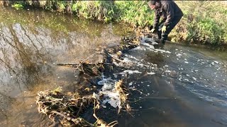 “Unclogging Culvert Discharge Ditch Clogged By Beavers” [upl. by Therron641]