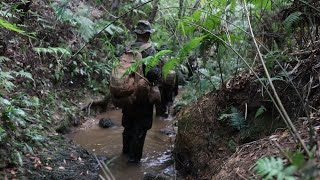 Marines Conduct Jungle Patrol  CERTEX 243 [upl. by Navar191]