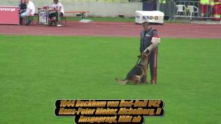 SV BSZS 2009 Ulm Ruden protection service part 9 [upl. by Janos683]