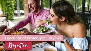 Proteolytic Enzymes The What and Why [upl. by Jodie]