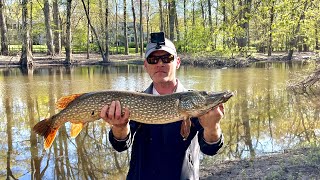 Bank Fishing Spring Pike and Pickerel [upl. by Aschim83]