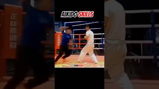 Aikido Skills 🥋 aikido mma martialarts [upl. by Pollie]