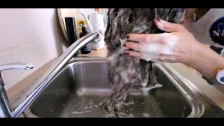 Scalp massage amp Shampoo ASMR  Kitchen Sink Hair Washing [upl. by Eldnek241]