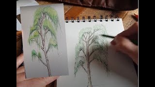 Dessiner un arbre en 10 min  bouleau pleureur [upl. by Montfort304]