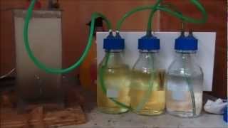 Sodium hypochlorite synthesis through electrolysis [upl. by Launame]