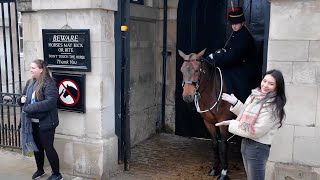 ❤️🐴Tourists Get a Royal Surprise as Guard Lets Horse Come Near [upl. by Gies]