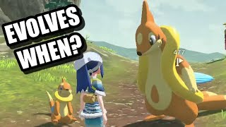 How To Evolve Buizel Pokemon Legends Arceus [upl. by Malin201]