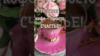 УТРО ДОБРОЕ ☕️☕️ shorts youtube [upl. by Nihahs758]