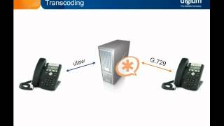 VoIP Fundamentals  Codecs [upl. by Ialohcin]