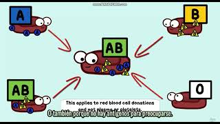 Biology with SPANISH through AMOEBA SISTERS  Multiple Alleles ABO Blood Types and Punnett Squares [upl. by Krug792]