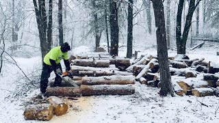 Bucking Firewood in a Snow Storm [upl. by Annaesor]