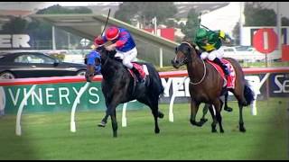 2013 Magic Millions National Sale PreviewPromo [upl. by Cornia]