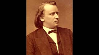 Brahms  Violin Concerto 3rd Movement Edit [upl. by Goines898]