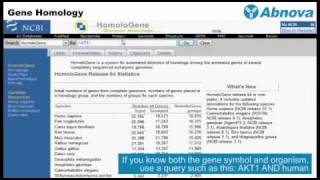 Gene Homology [upl. by Llirret275]