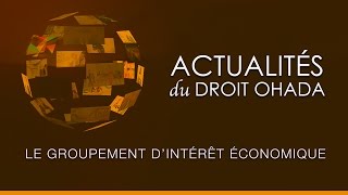 Le groupement dintérêt économique [upl. by Florence]