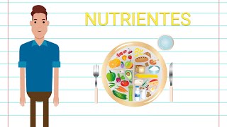 NUTRIENTES  RESUMO [upl. by Cohn]