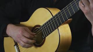 Matt Palmer plays Leo Brouwer Estudios Sencillos No 6 [upl. by Leay940]