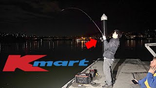 Can You Catch Fish On 20 Budget Kmart Challenge [upl. by Oile]