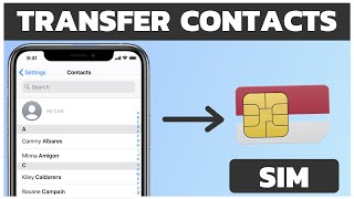 How to Transfer iPhone Contacts to SIM  iPhone Contacts to SIM [upl. by Hamo276]