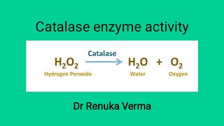 Catalase enzyme activity experiment [upl. by Dlorag209]