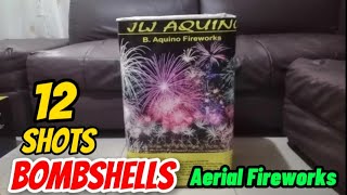 JLJ AQUINO  12 Shots Bombshells  B Aquino Fireworks  Philippines 2023 [upl. by Fagin]