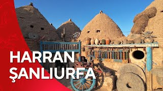 Şanlıurfa Gezilecek Yerler  Harran [upl. by Slyke]