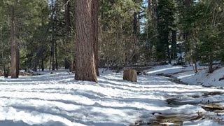 Palm Springs Aerial Tramway  Palm Springs California [upl. by Yecac]