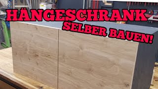 Hängeschrank für die Werkstatt selber bauen mit Topfscharniere Schränke selber bauen [upl. by Nagol]