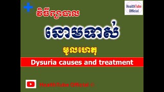 នោមទាស់ មូលហេតុនិងវិធីព្យាបាល l Dysuria causes and treatment l នោមទាស់ l HealthTube Offical [upl. by Acillegna]