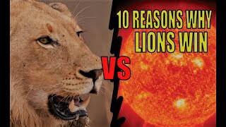 10 Reasons Why a Trillion Lions would beat the Sun [upl. by Onfroi]