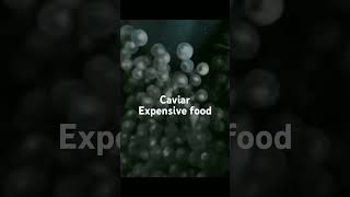 caviar most expensive food [upl. by Initsed47]