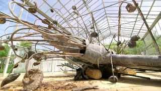 55 Anselm Kiefer Remembering the Future [upl. by Naicul59]