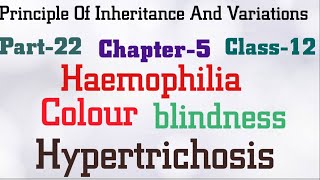 Chapter5 Class12 biology  P22 haemophilia colour blindness hypertrichosis [upl. by Hermann]